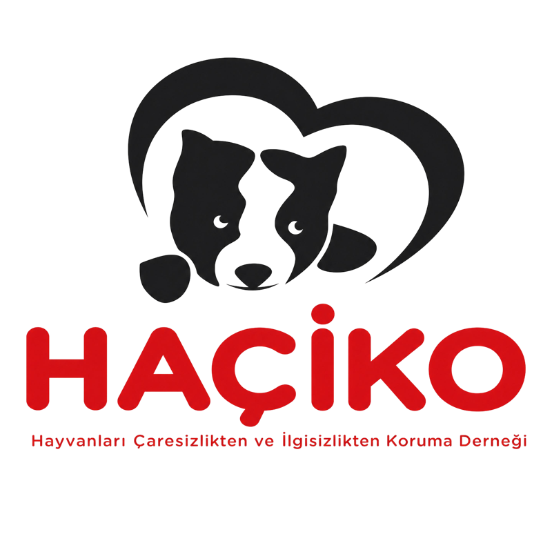Haçiko — Hayvanları Çaresizlikten ve İlgisizlikten Koruma Derneği